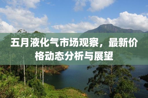 五月液化气市场观察，最新价格动态分析与展望
