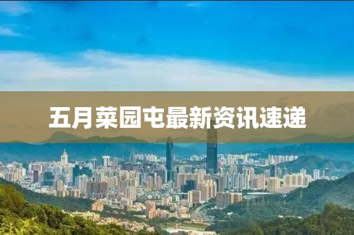 五月菜园屯最新资讯速递