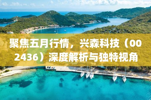 聚焦五月行情，兴森科技（002436）深度解析与独特视角