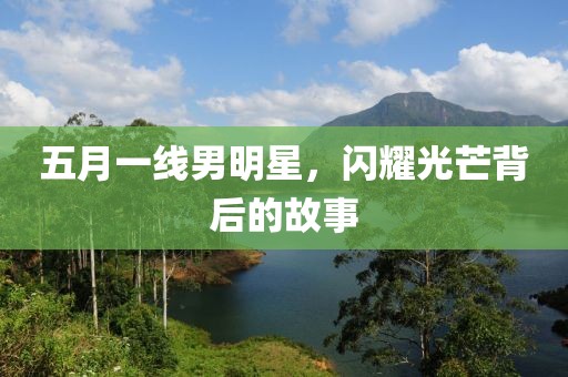 五月一线男明星，闪耀光芒背后的故事
