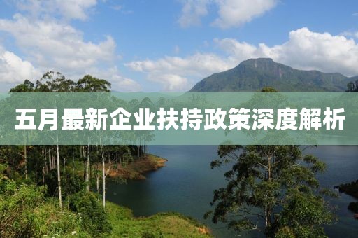 五月最新企业扶持政策深度解析