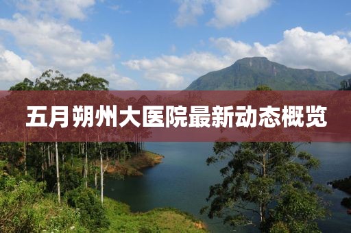 五月朔州大医院最新动态概览