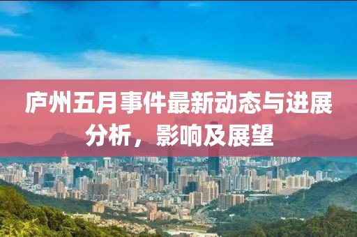 庐州五月事件最新动态与进展分析，影响及展望