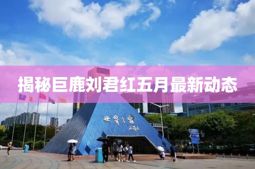揭秘巨鹿刘君红五月最新动态