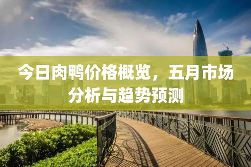 今日肉鸭价格概览，五月市场分析与趋势预测