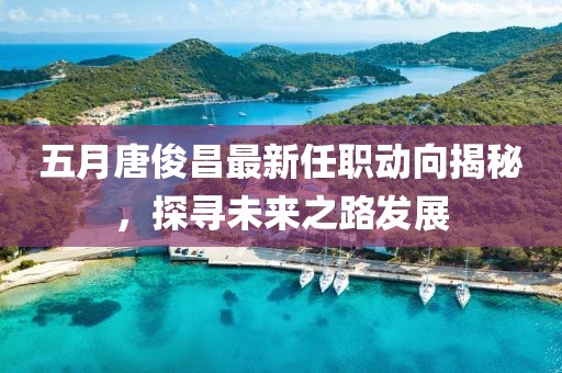 五月唐俊昌最新任职动向揭秘，探寻未来之路发展