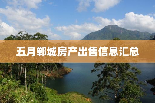 五月郸城房产出售信息汇总