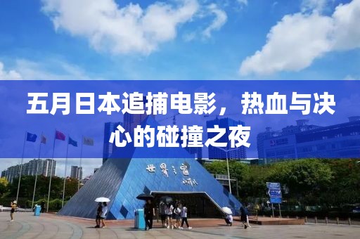 五月日本追捕电影，热血与决心的碰撞之夜