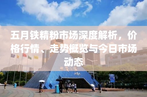 五月铁精粉市场深度解析，价格行情、走势概览与今日市场动态