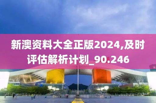 新澳资料大全正版2024,及时评估解析计划_90.246