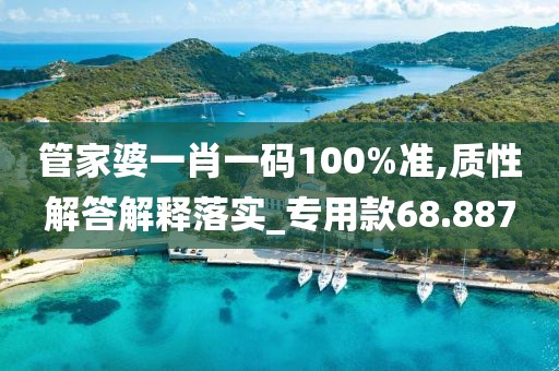 管家婆一肖一码100%准,质性解答解释落实_专用款68.887