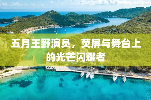 五月王野演员，荧屏与舞台上的光芒闪耀者