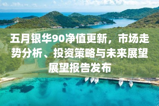 五月银华90净值更新，市场走势分析、投资策略与未来展望展望报告发布