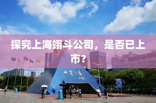 探究上海翊斗公司，是否已上市？