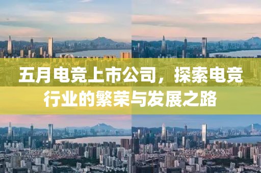 五月电竞上市公司，探索电竞行业的繁荣与发展之路