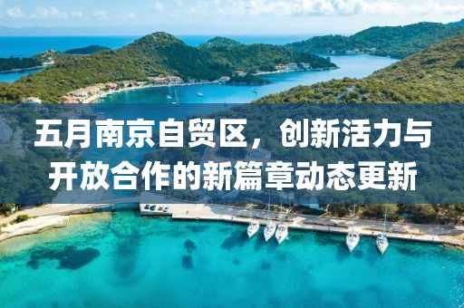 五月南京自贸区，创新活力与开放合作的新篇章动态更新