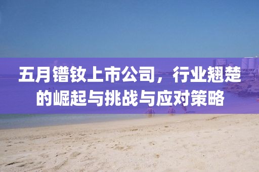 五月镨钕上市公司，行业翘楚的崛起与挑战与应对策略