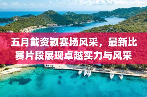 五月戴资颖赛场风采，最新比赛片段展现卓越实力与风采