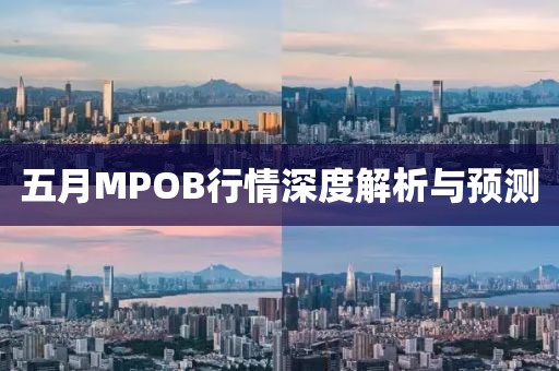 五月MPOB行情深度解析与预测