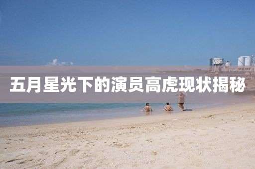 五月星光下的演员高虎现状揭秘