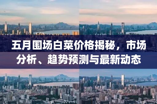 五月围场白菜价格揭秘，市场分析、趋势预测与最新动态