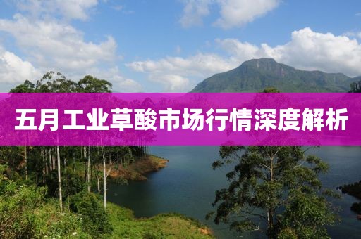 五月工业草酸市场行情深度解析