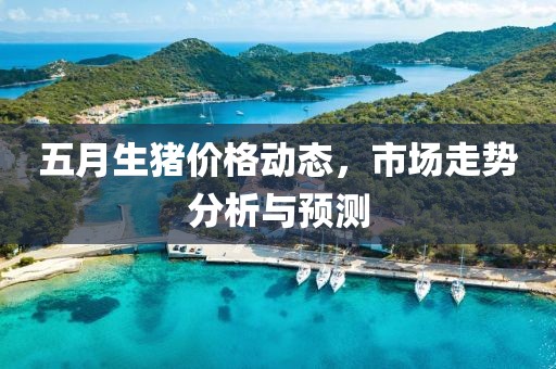 五月生猪价格动态，市场走势分析与预测