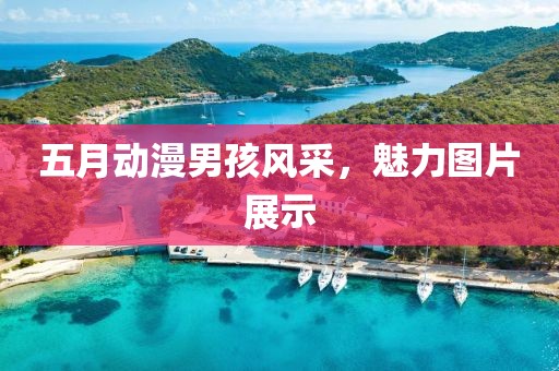 五月动漫男孩风采，魅力图片展示