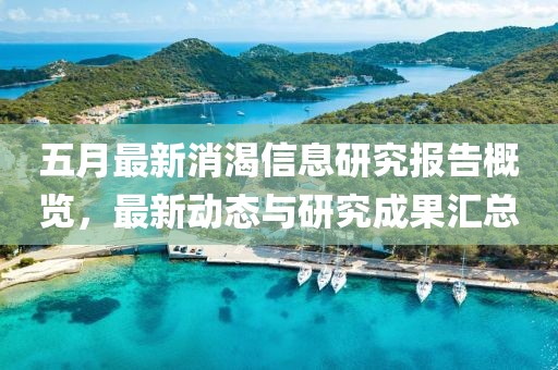 五月最新消渴信息研究报告概览，最新动态与研究成果汇总
