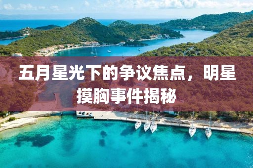 五月星光下的争议焦点，明星摸胸事件揭秘