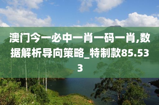 澳门今一必中一肖一码一肖,数据解析导向策略_特制款85.533