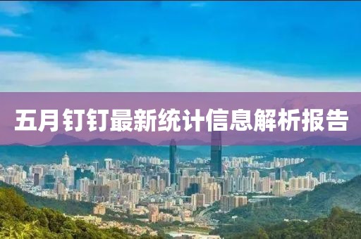 五月钉钉最新统计信息解析报告