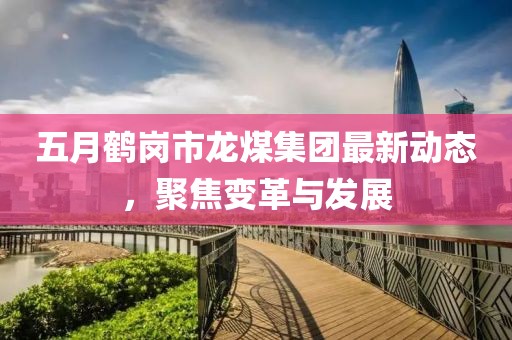 五月鹤岗市龙煤集团最新动态，聚焦变革与发展