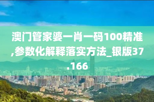 澳门管家婆一肖一码100精准,参数化解释落实方法_银版37.166
