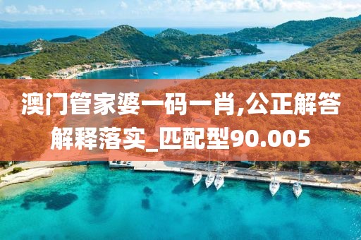 澳门管家婆一码一肖,公正解答解释落实_匹配型90.005