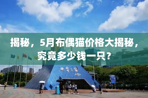 揭秘，5月布偶猫价格大揭秘，究竟多少钱一只？