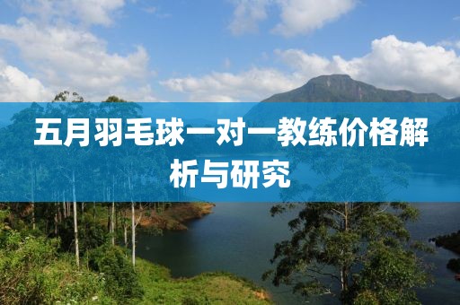 五月羽毛球一对一教练价格解析与研究