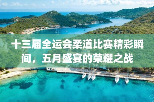 十三届全运会柔道比赛精彩瞬间，五月盛宴的荣耀之战