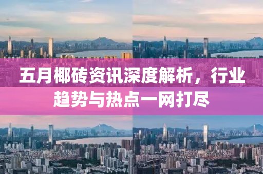 五月椰砖资讯深度解析，行业趋势与热点一网打尽
