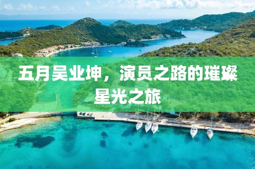 五月吴业坤，演员之路的璀璨星光之旅