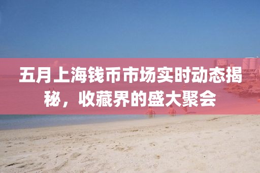五月上海钱币市场实时动态揭秘，收藏界的盛大聚会