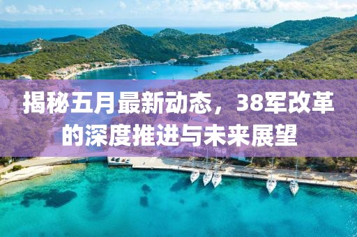 揭秘五月最新动态，38军改革的深度推进与未来展望