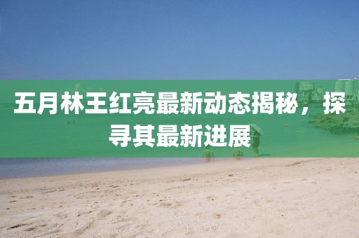 五月林王红亮最新动态揭秘，探寻其最新进展