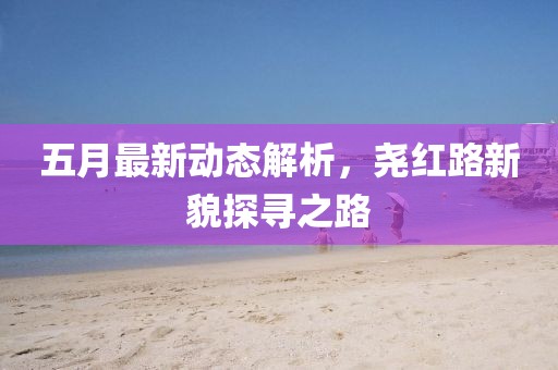 五月最新动态解析，尧红路新貌探寻之路