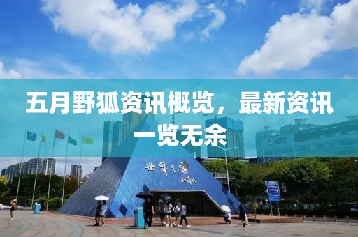 五月野狐资讯概览，最新资讯一览无余