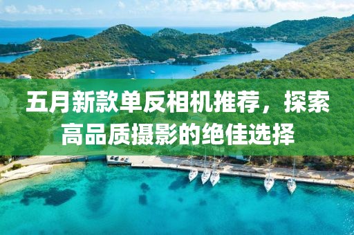五月新款单反相机推荐，探索高品质摄影的绝佳选择