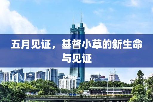 五月见证，基督小草的新生命与见证