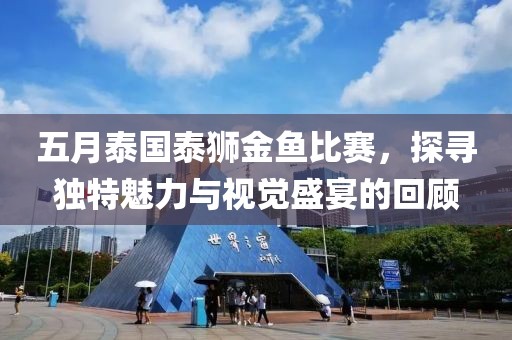 五月泰国泰狮金鱼比赛，探寻独特魅力与视觉盛宴的回顾