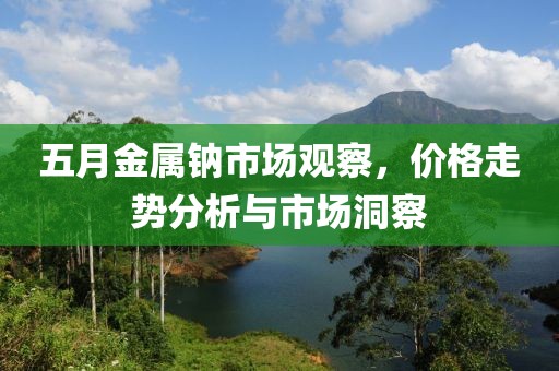 五月金属钠市场观察，价格走势分析与市场洞察