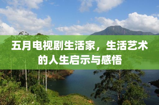 五月电视剧生活家，生活艺术的人生启示与感悟